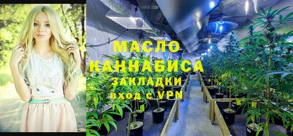 сатива Абаза