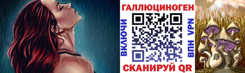 Псилоцибиновые грибы мицелий  купить наркоту  OMG   Бежецк 